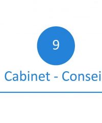 9 Cabinet-conseil