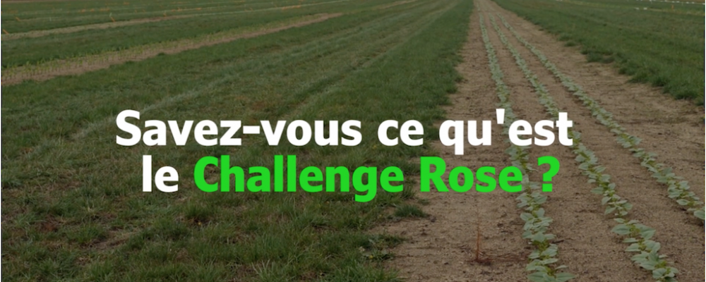 Agtech : Le challenge rose : l’innovation face aux herbicides