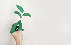 Quelles transitions agro-écologiques ? Enjeux, initiatives et leviers du changement @ VetAgro Sup | Lempdes | Auvergne-Rhône-Alpes | France